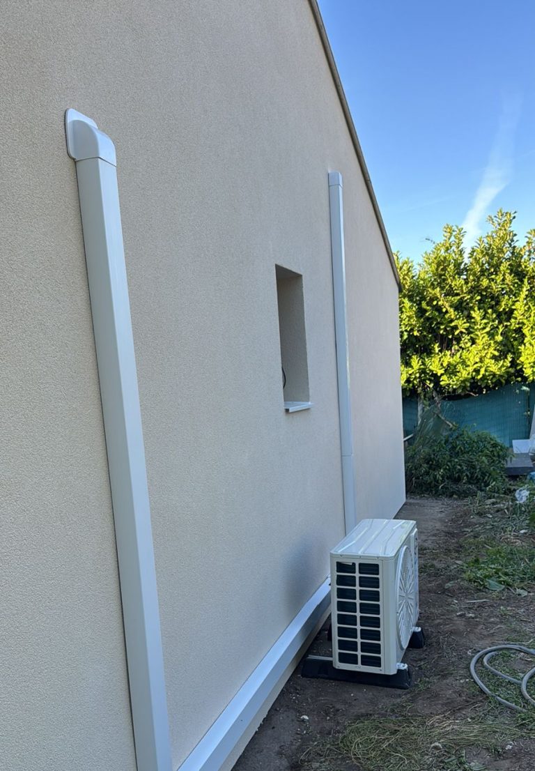 WhatsApp Image 2026-02-20 at 22.22.09