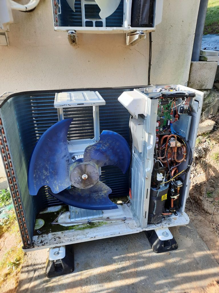 WhatsApp Image 2026-02-24 at 20.06.56 (2)